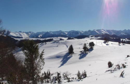 Les FEICHES et MARGUERITES - Foto 19