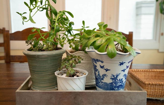 The Timeless Retreat A Cherry Creek Family Home - Foto 15