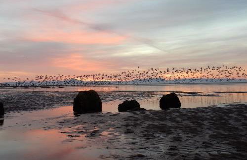 Shelduck Cottage - Foto 17