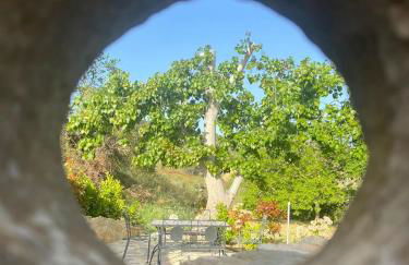 Case Vacanza Villa Bentivoglio - Foto 25