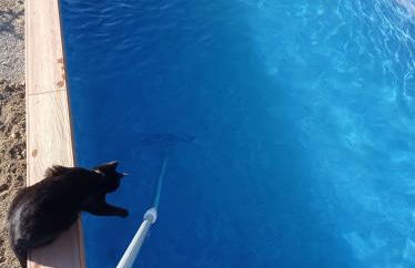 La Dacha Montanya - Foto 101