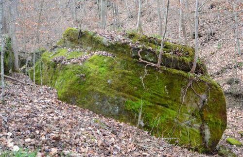 Restful River Cabin, Red River Gorge, KY, River Access & Views - Foto 29