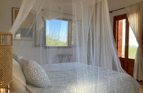 Manolates 360 - Photo 15