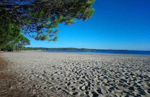 Résidence Les Grands Pins - T2 avec piscine - Foto 12