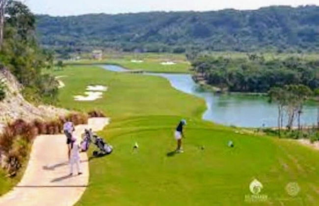 Kaeli's Caribbean Studios - Photo 52