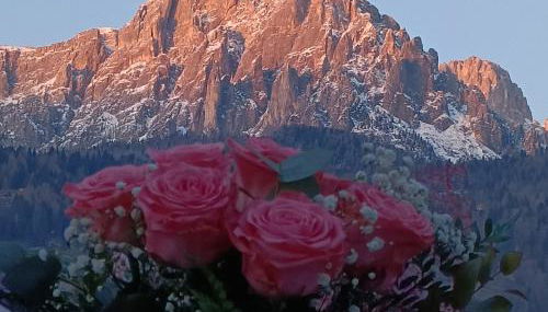 Appartamenti Primiero - Foto 4