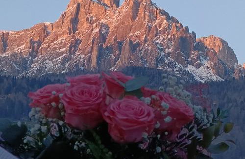 Appartamenti Primiero - Foto 4