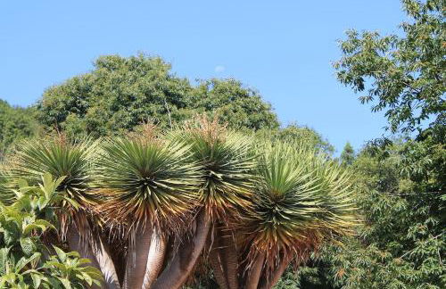 Casa Fita en El Cubo de La Galga - Photo 36