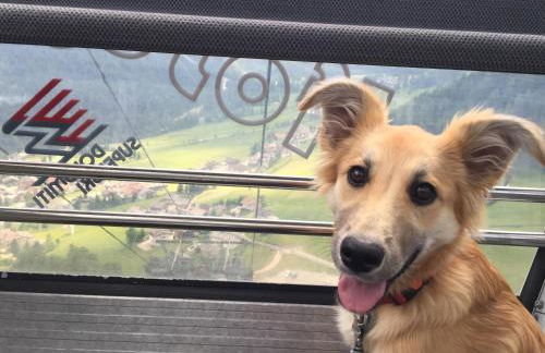 Residence Ciasa Dl Mone - Foto 14