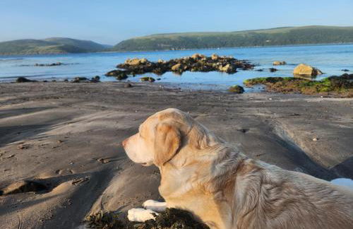 3 Bed in Kirkcolm oc-b34009 - Foto 45