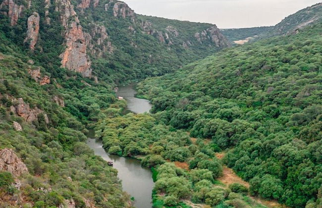 Agriturismo Monte Istulargiu - Foto 27