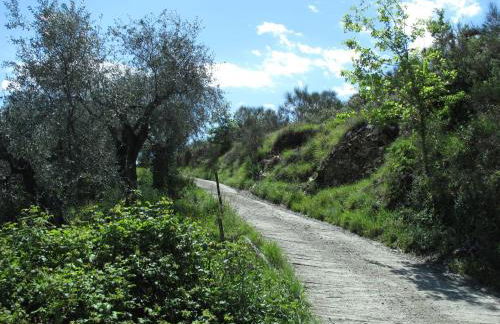 Holiday Home Azzurra - PTB145 by Interhome - Foto 50