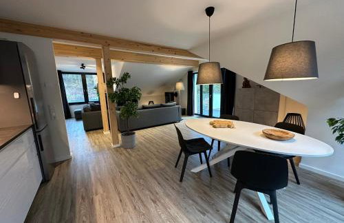 NEU - Villa Brachfeld - Penthouse und Ferienwohnung, Tor zum Nationalpark Eifel - Photo 21