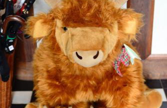 Foresters 4 Bedroom Apartment - Foto 65