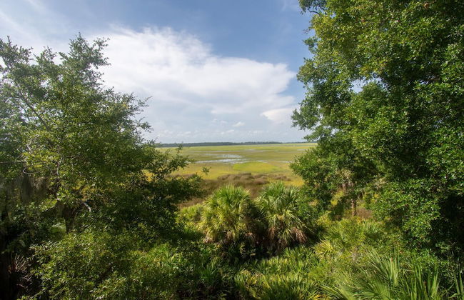 108 Davis Love - Foto 39