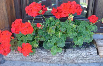 Agro Przy Kominku - Foto 15