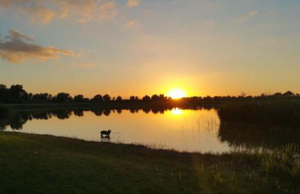 Haus an der Pferdekoppel am Blankenburger See - Photo 35