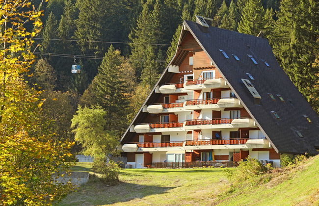 Anémone 2/16 - Foto 1