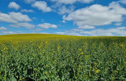 Ferienwohnung Tannenblick-MV - Foto 12