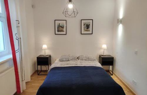 Kraska Dom Wakacyjny w Sercu Puszczy Białowieskiej - Foto 8