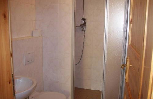 Bauernhofpension Büchsenschütz - Foto 54