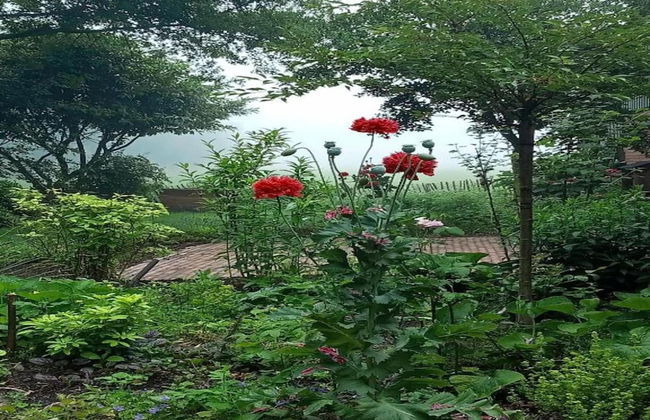 Holiday Home in Geesteren With Roof Terrace,garden Furniture - Foto 80