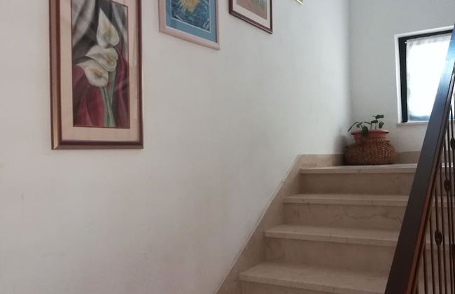 Apartments Tamara - Foto 51