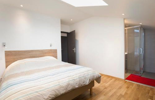 Appartement Mont Blanc - Vue Lac - Foto 11