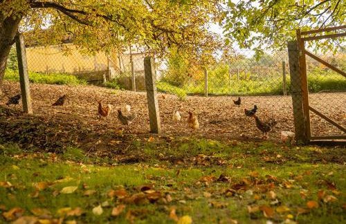 Gemütlicher Camper fußläufig zur Therme Erding - Foto 15