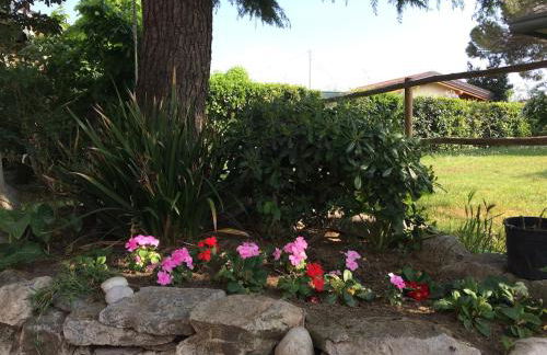 La Casina del Delta del Po - Foto 29