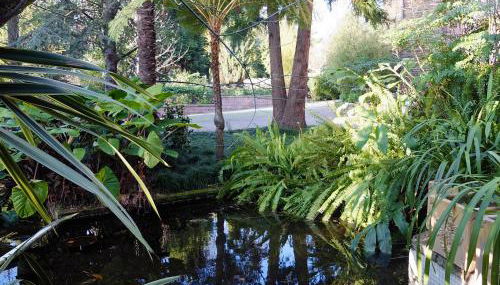 Family Secrets Santo André - Foto 3, Garden, Garden view