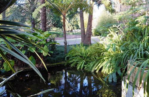 Family Secrets Santo André - Foto 3