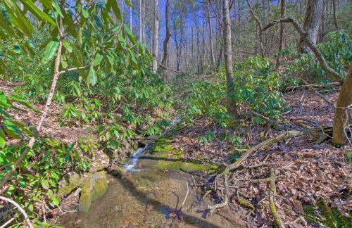 Fire Pit, Grill, and Views Cashiers Getaway! - Foto 31