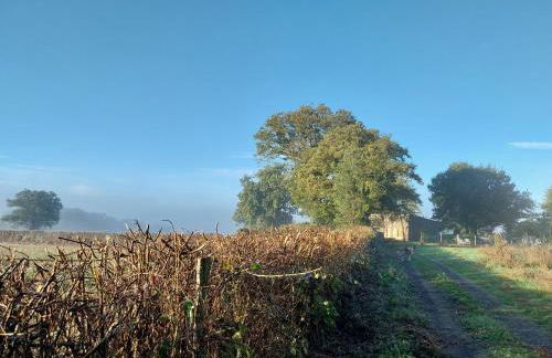 Gîte Traitsanes En Berry Centre Val de Loire - Foto 15
