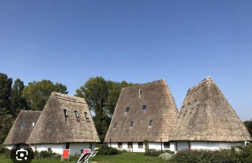 Appartamento LA PERLA - Photo 25