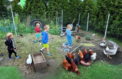 Wzgórze w Cieniu Lasu - Photo 31