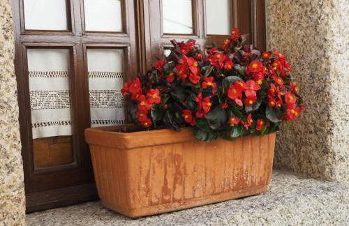 Casa do Balcao - Photo 7