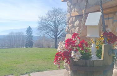 Baita dei Fovi - Foto 26