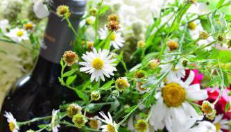 Ferienwohnungen Haus "Wildschütz" - Foto 3, Other