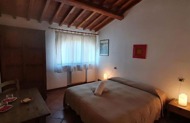 Fattoria Lischeto - Foto 10