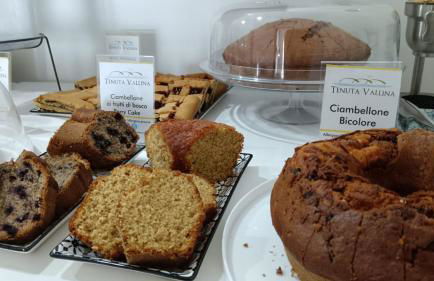 Tenuta Vallina - Golfo di Policastro - Foto 14