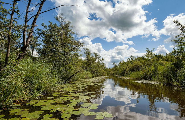 Idyllic Farmhouse Retreat in Suwald - Foto 34