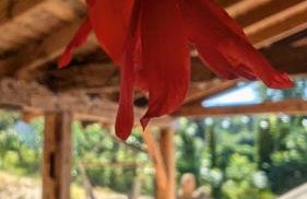 Król Puszczy - unikatowy dom, jezioro 80m, szlak Krutyni - Foto 51