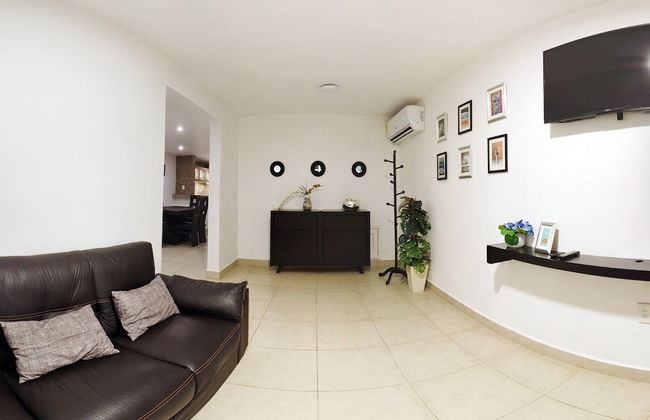 HominngBird - Foto 58