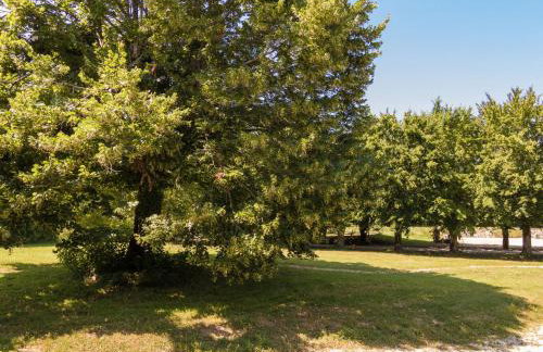 Cottage in Chaleix near Forest & Lake - Foto 23