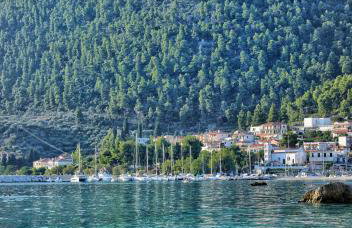 Lemon House - Foto 37