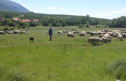 Villa Cetina - Apartment with a view - Foto 74