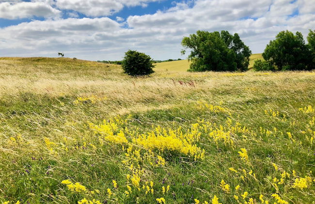 Haus Johanneshorst - Foto 42