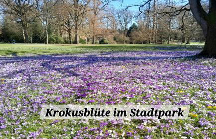 Ferienwohnung Mia - Foto 34