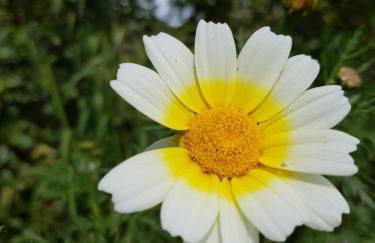 Casa da Ti Bia - Foto 31